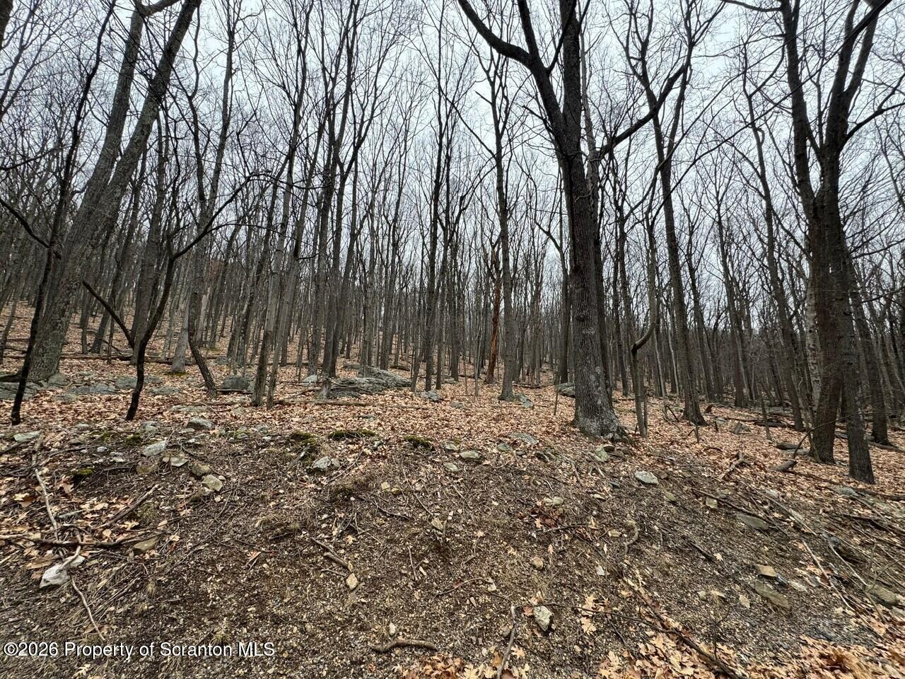 6 Iroquois Circle Hazleton, PA 18202 - Photo 4 of 12 a view of outdoor space with trees