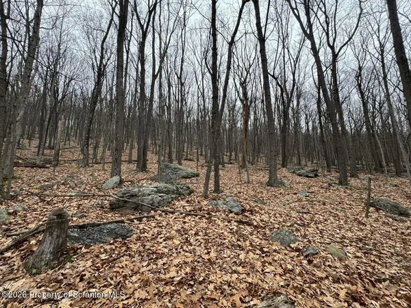 a backyard of a house with large trees