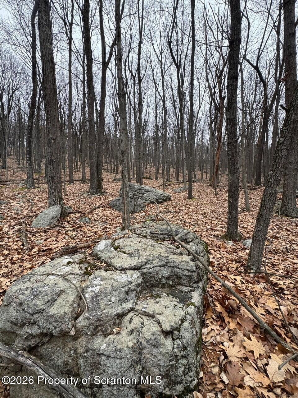 6 Iroquois Circle Hazleton, PA 18202 - Photo 6 of 12 a backyard of a house with large trees