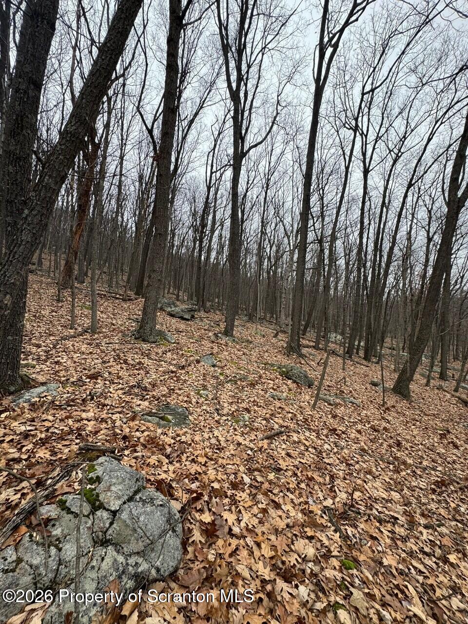 6 Iroquois Circle Hazleton, PA 18202 - Photo 7 of 12 a backyard of a house with lots of trees