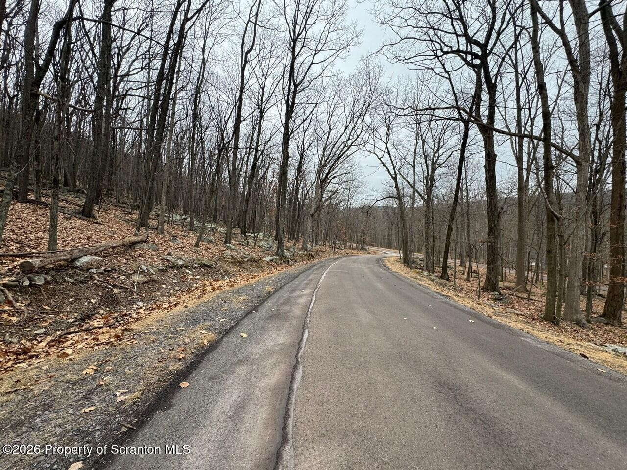 6 Iroquois Circle Hazleton, PA 18202 - Photo 8 of 12 a view of a yard with trees