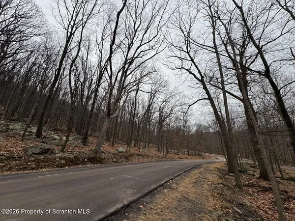 a view of a backyard of the house