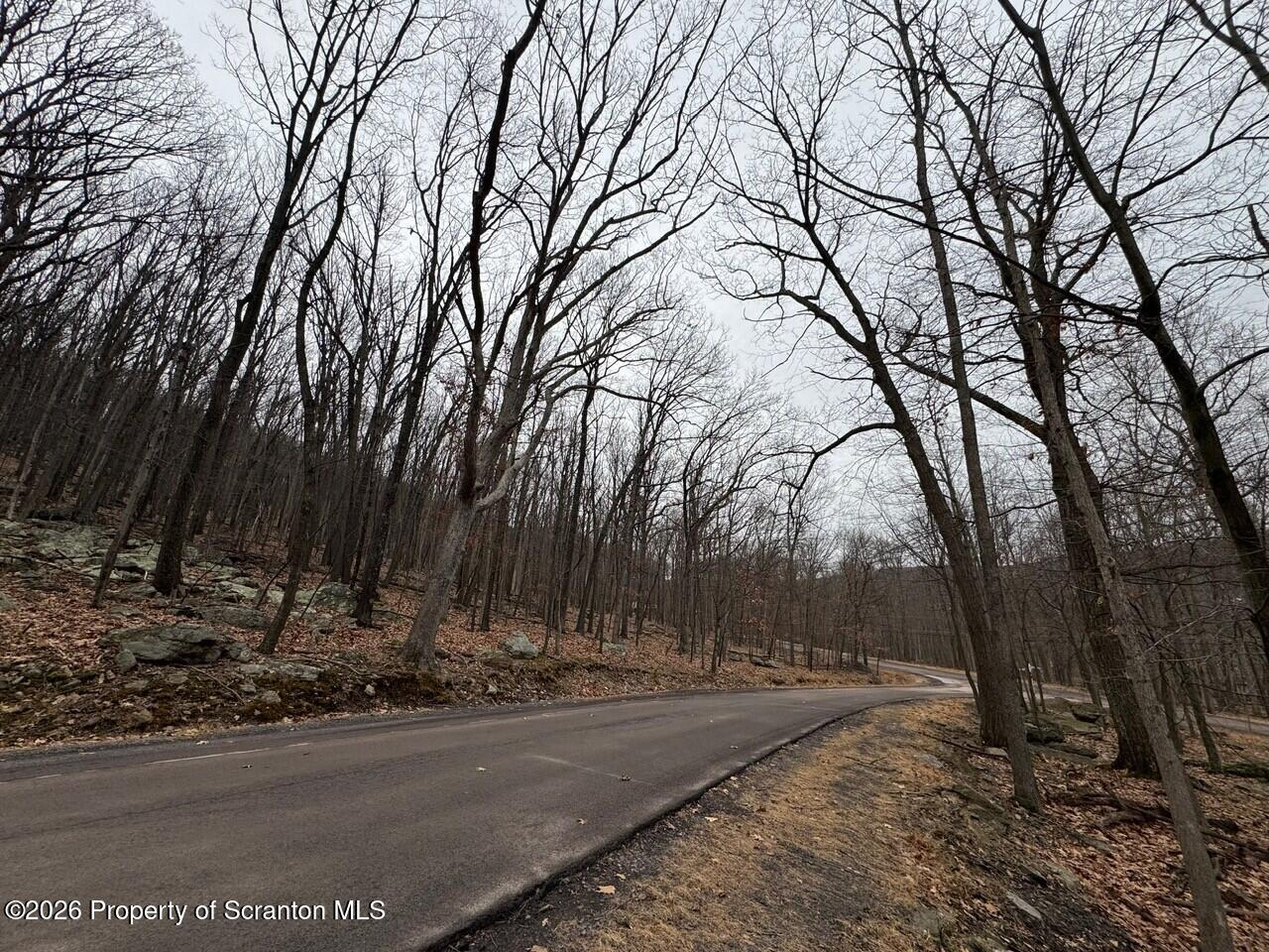 6 Iroquois Circle Hazleton, PA 18202 - Photo 9 of 12 a view of a yard with trees