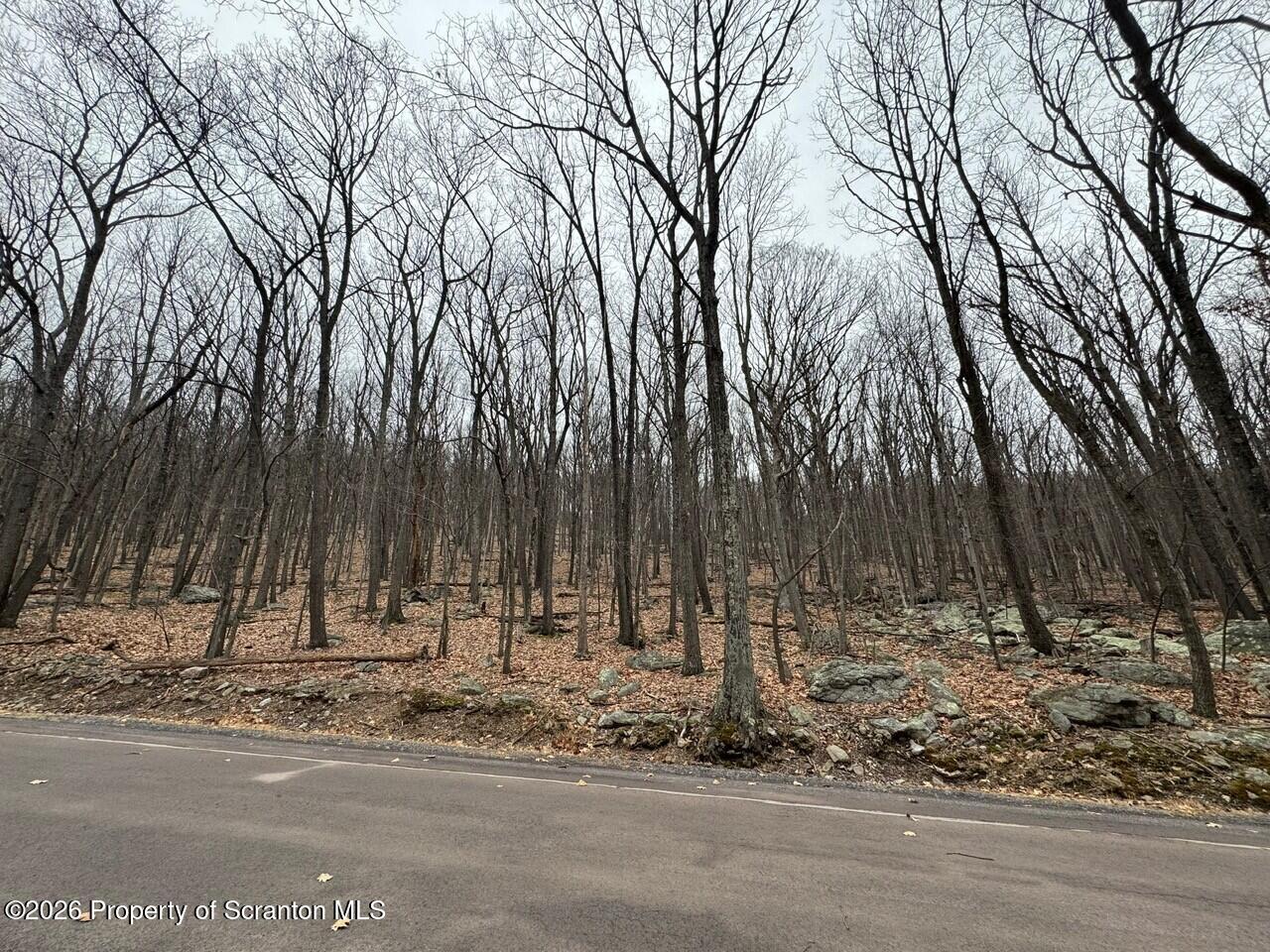 6 Iroquois Circle Hazleton, PA 18202 - Photo 10 of 12 a view of a backyard of the house