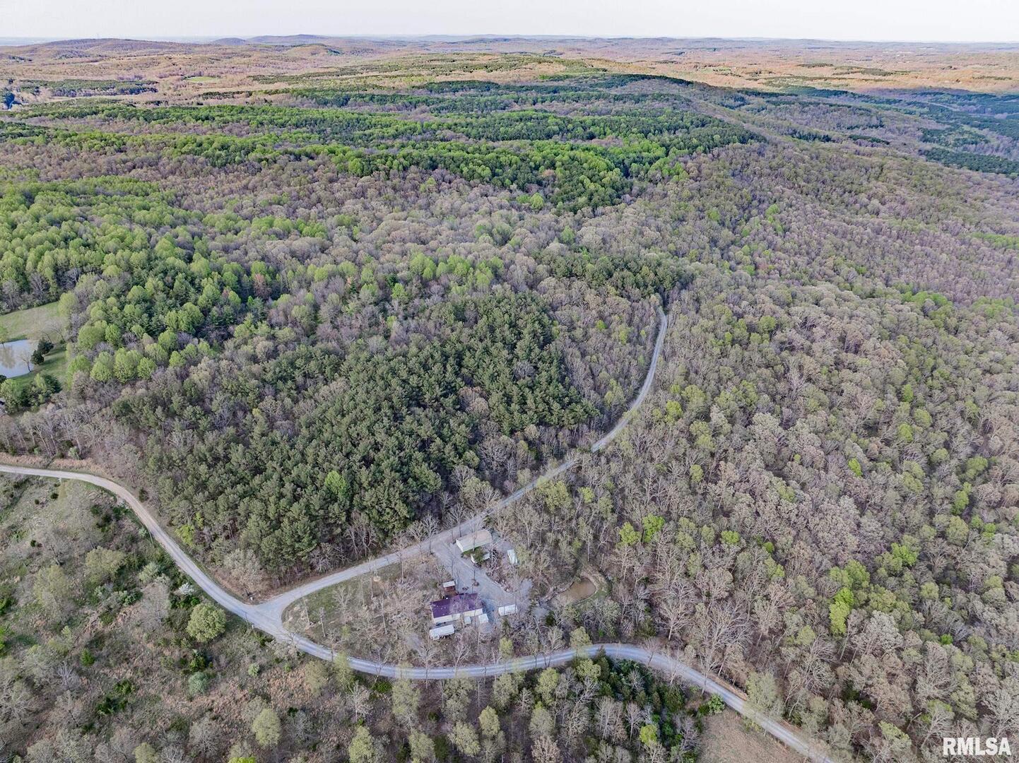 565 Dutton Chapel Road Herod, IL 62947 - Photo 23 of 54