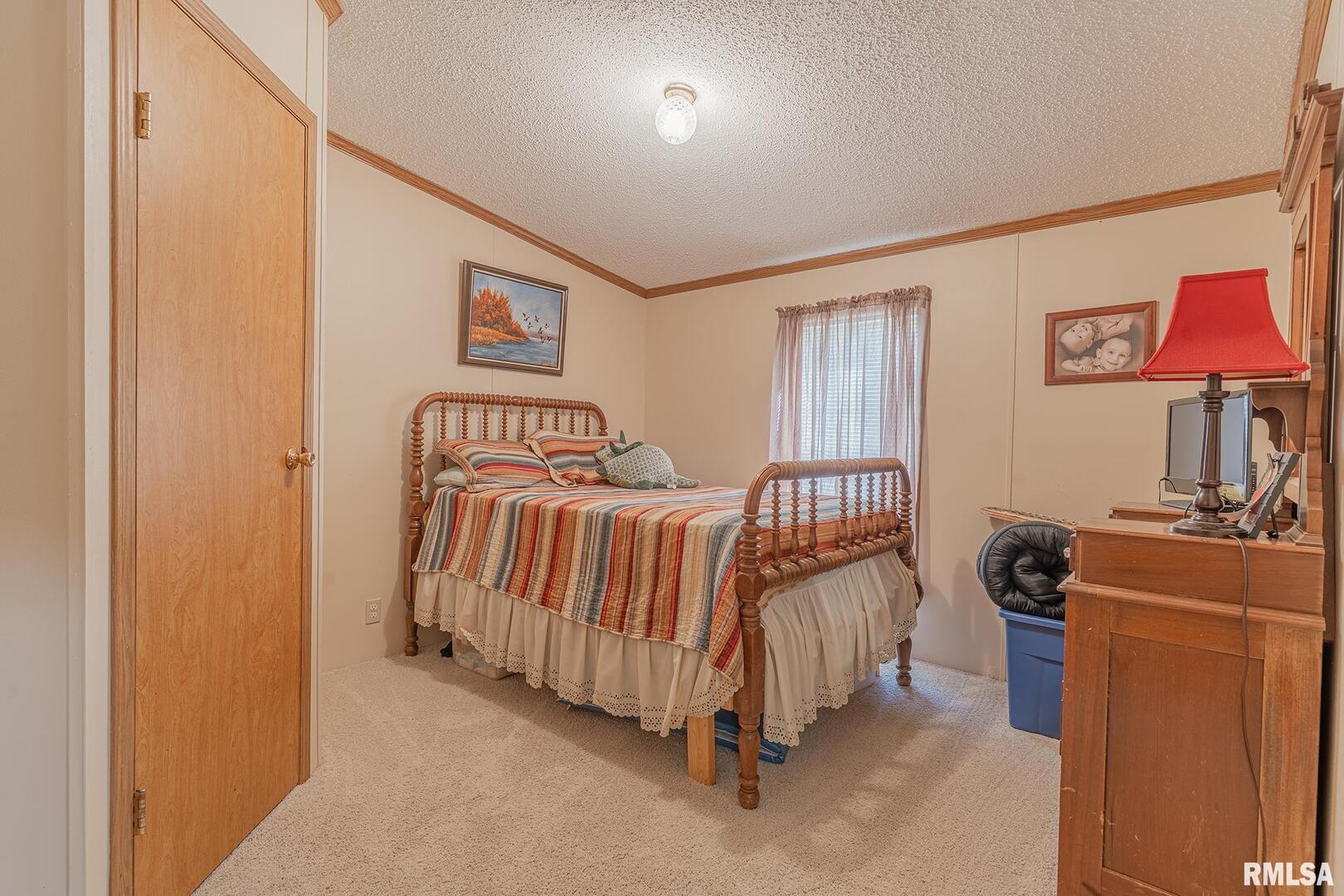 565 Dutton Chapel Road Herod, IL 62947 - Photo 48 of 54