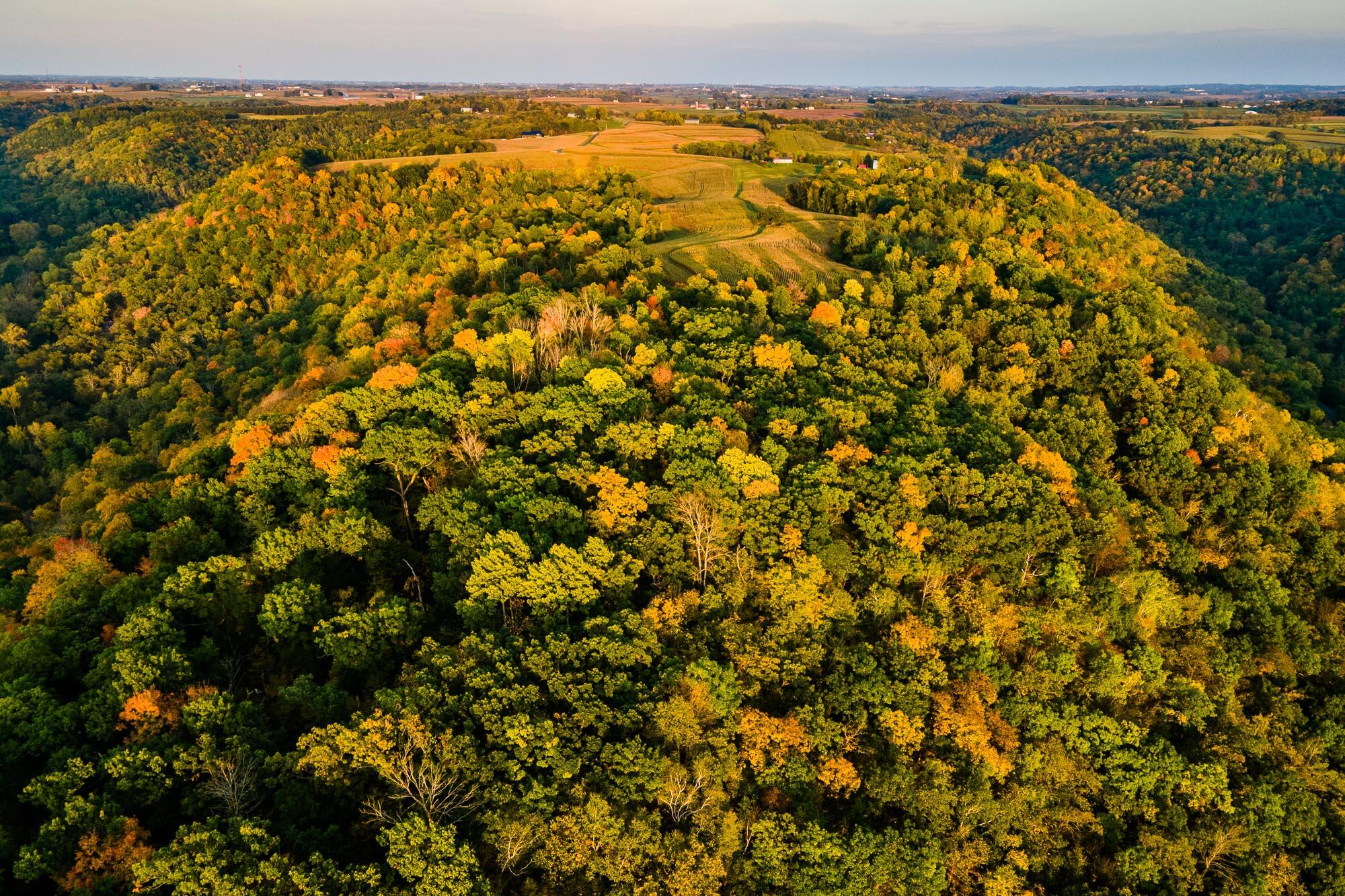 Vernon-Co-WI-40-Acres-Land-For-Sale