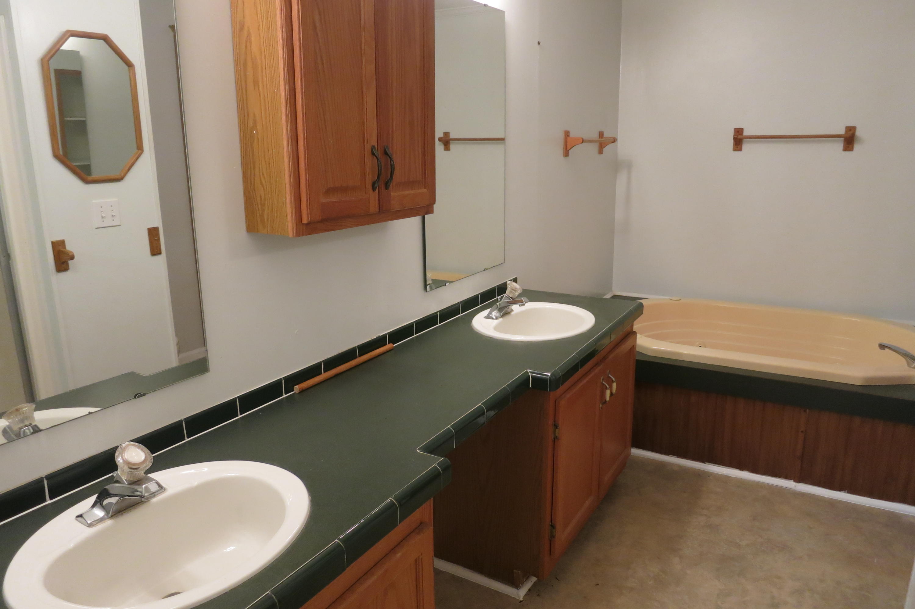 4208 Houston Valley Road Ringgold, GA 30736 - Photo 12 of 51 Master Vanity