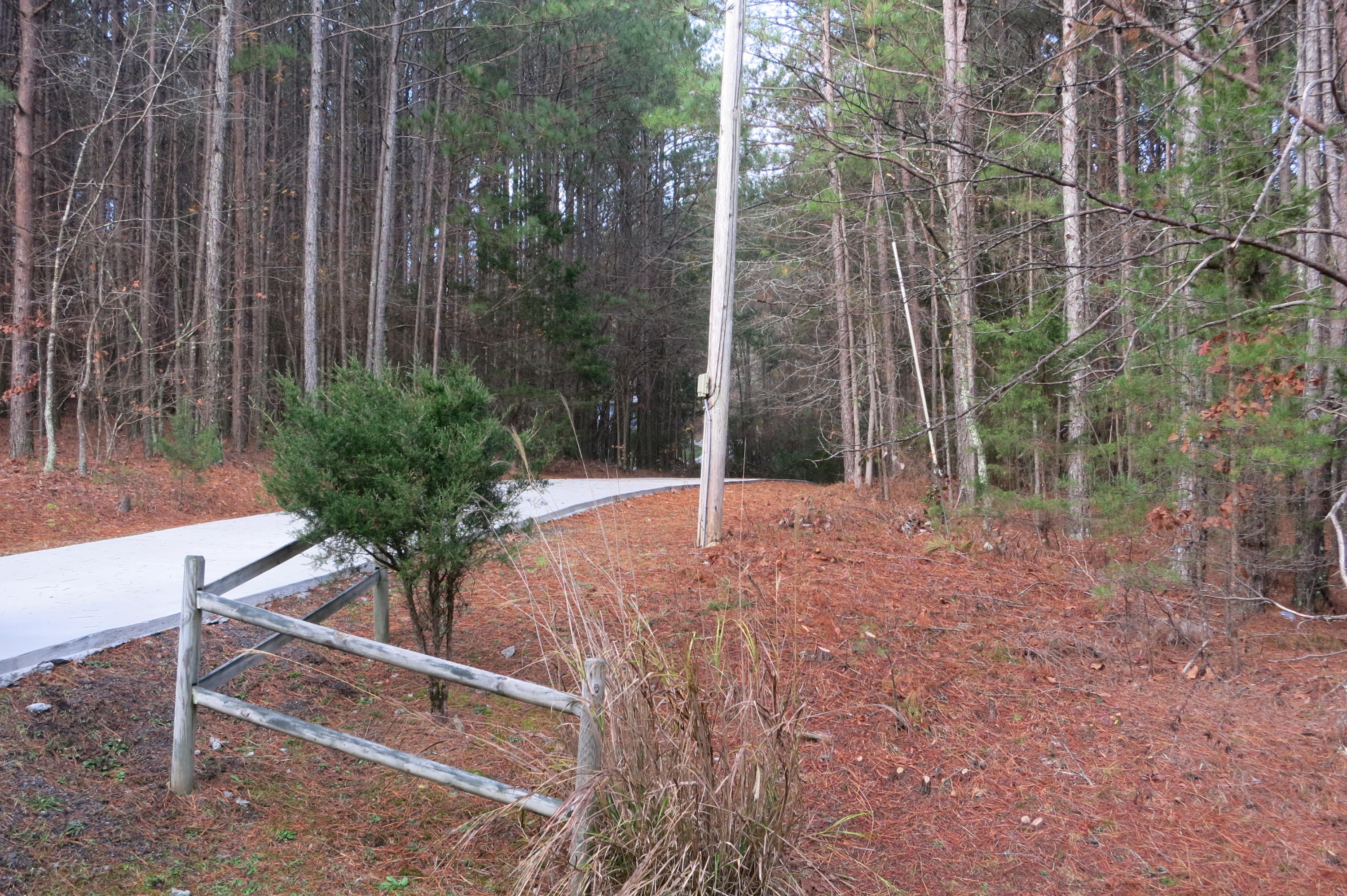 4208 Houston Valley Road Ringgold, GA 30736 - Photo 32 of 51 Drive entrance