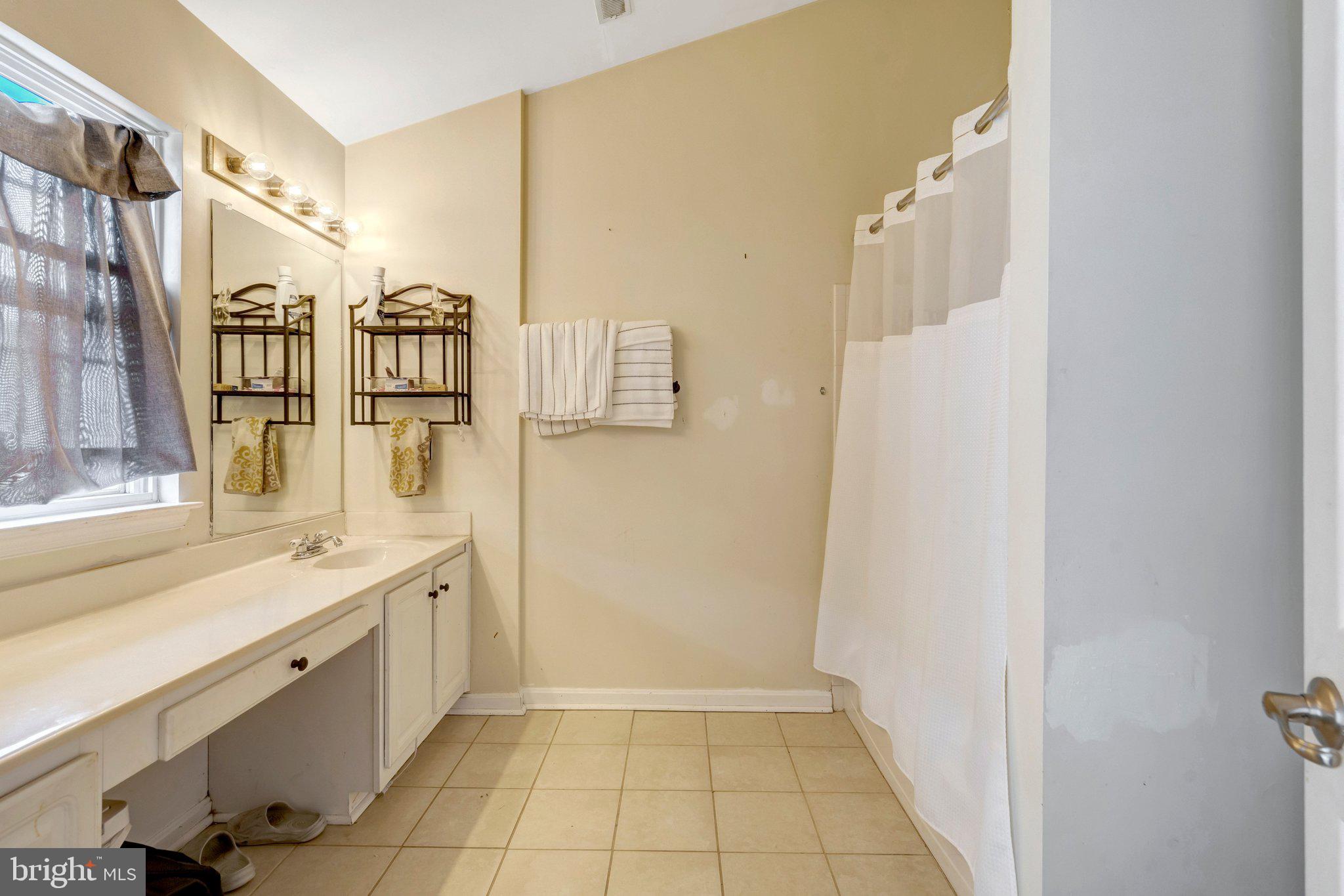 42888 Golf View Drive Chantilly, VA 20152 - Photo 22 of 29 a bathroom with a sink a mirror and a shower