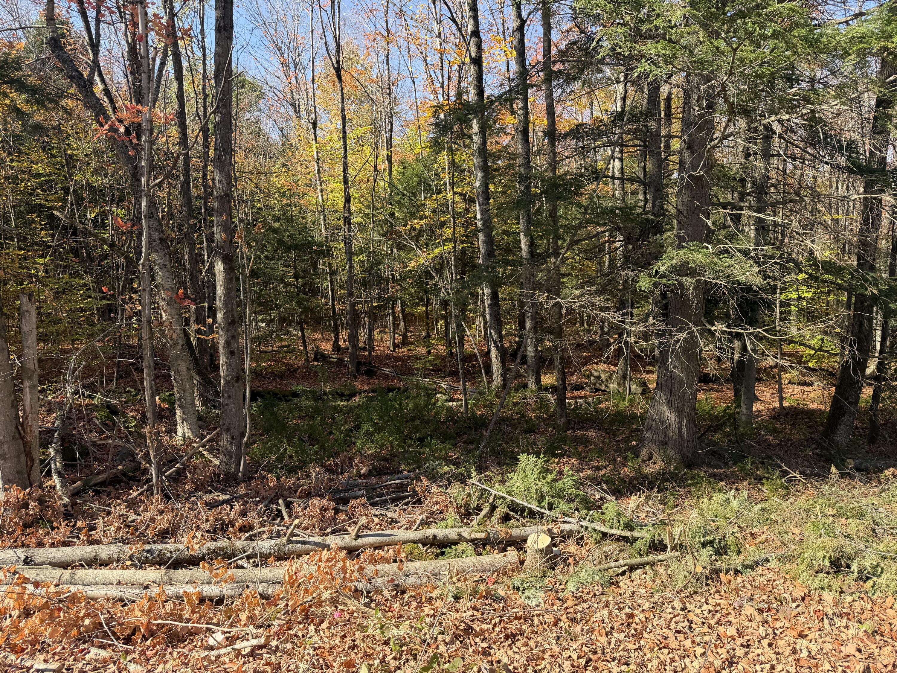 0 Rand Hill Road Morrisonville, NY 12962 - Photo 4 of 10