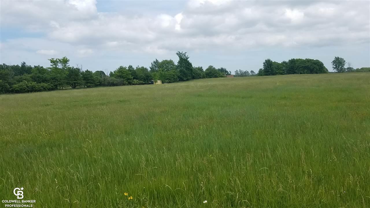 Wellman Line Ville Melvin, MI 48454 - Photo 10 of 16