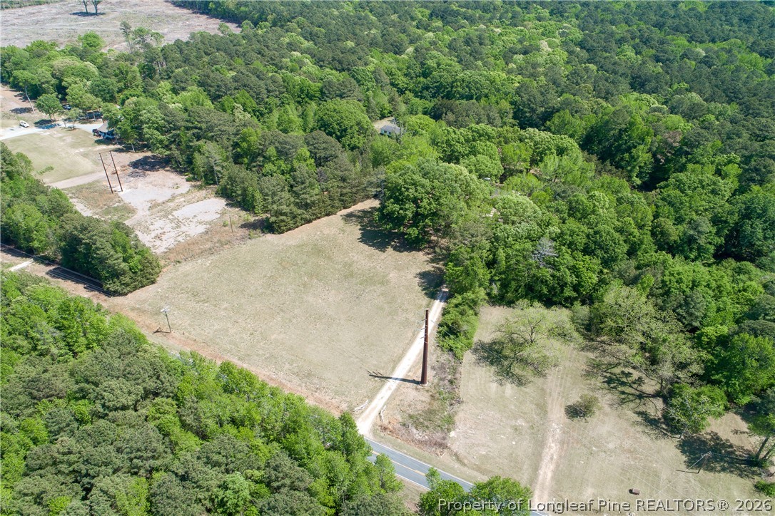 2162 Dobbin Holmes Road Eastover, NC 28312 - Photo 47 of 50 Gallery Image 47