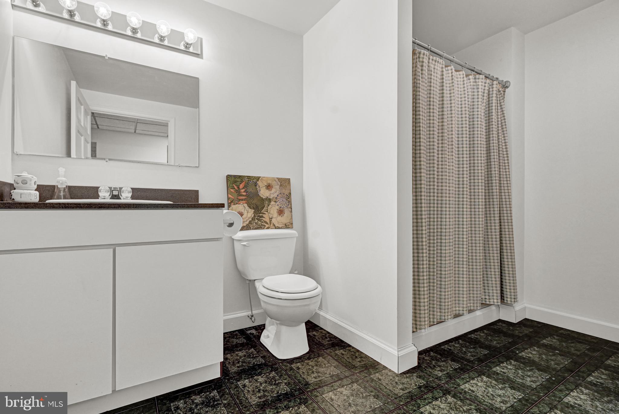 2428 Mt Ventus Road Manchester, MD 21102 - Photo 33 of 39 Fulll bath in the basement
