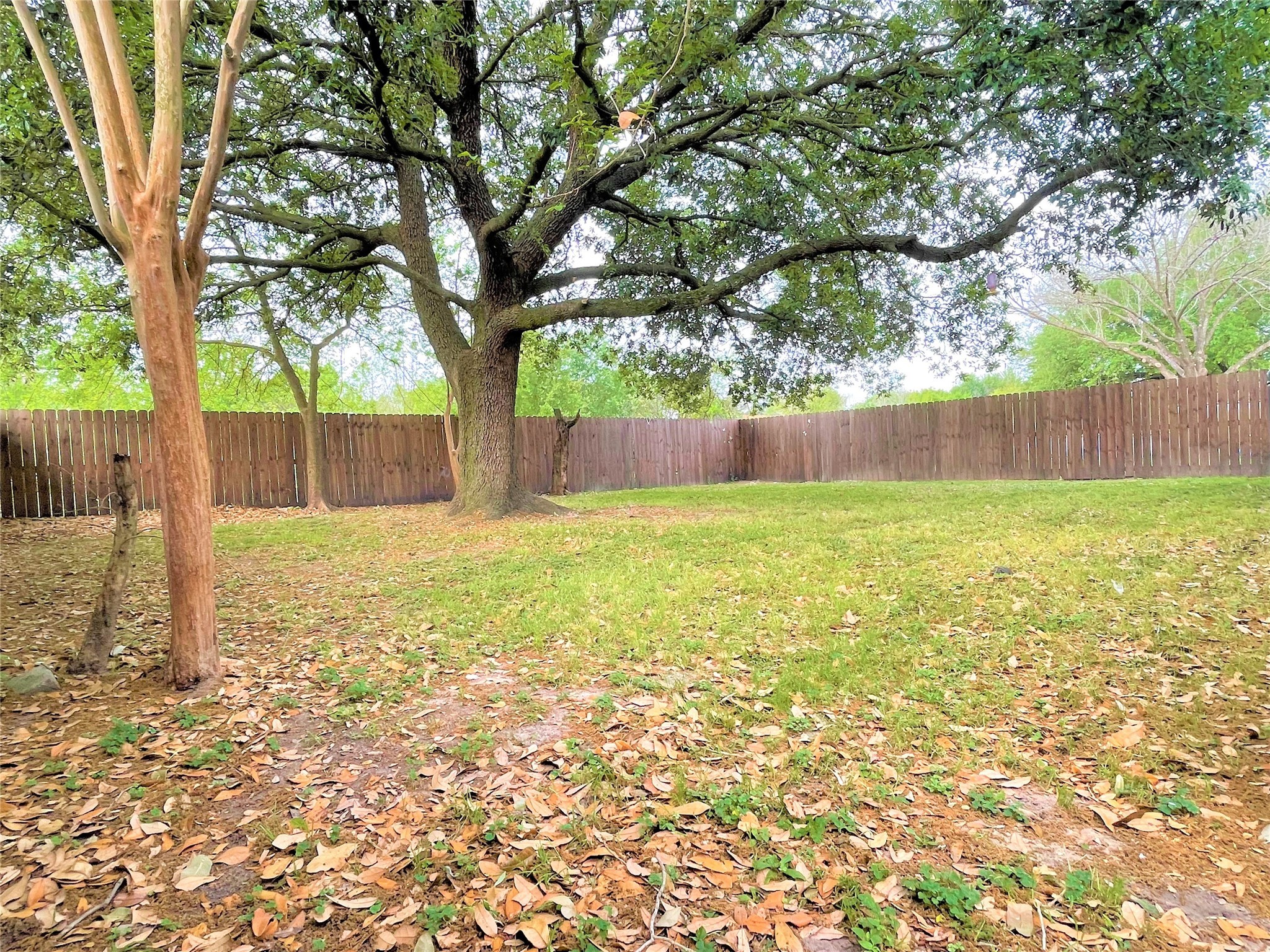10011 Appleridge Drive Houston, TX 77070 - Photo 34 of 48 a view of swimming pool with a trees
