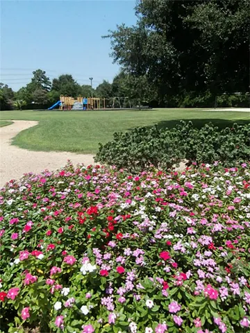 a view of a swimming pool with lawn chairs and plants