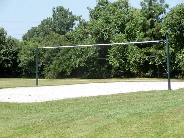 a view of a yard in front of a house