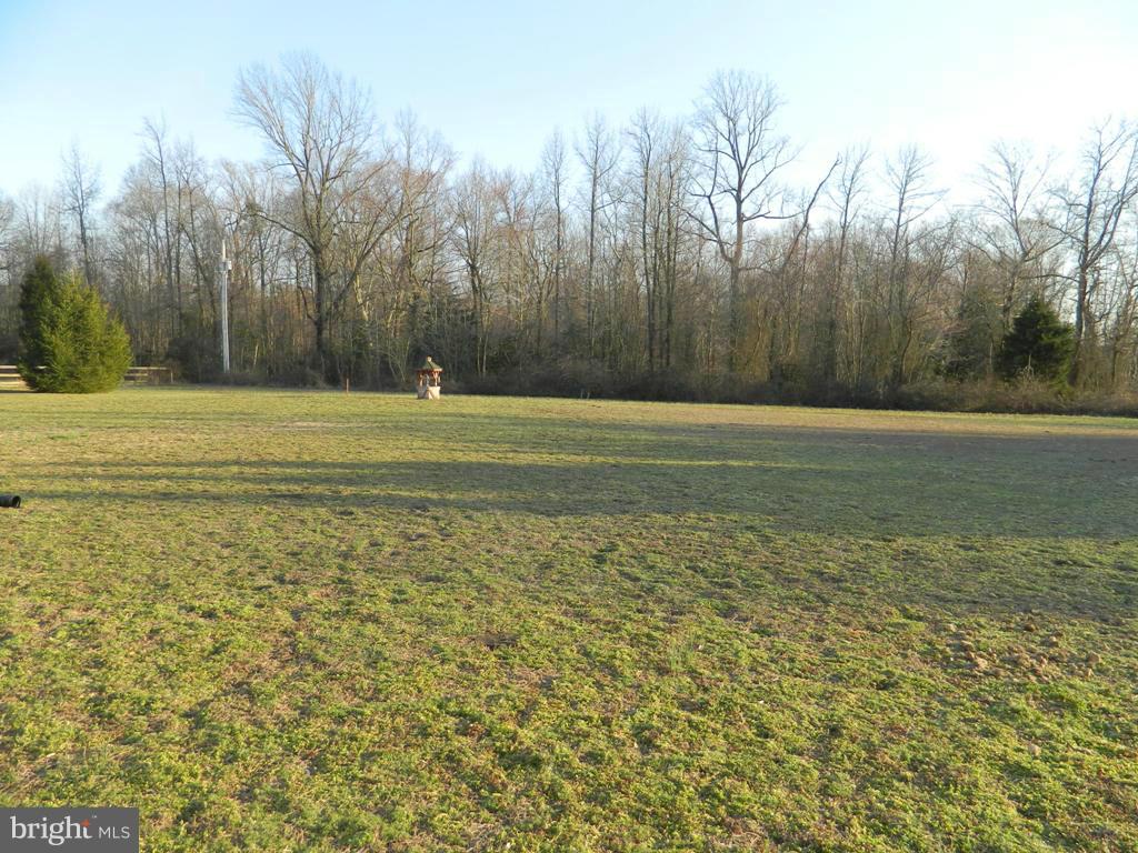 26041 Garey Road Denton, MD 21629 - Photo 22 of 25 View
