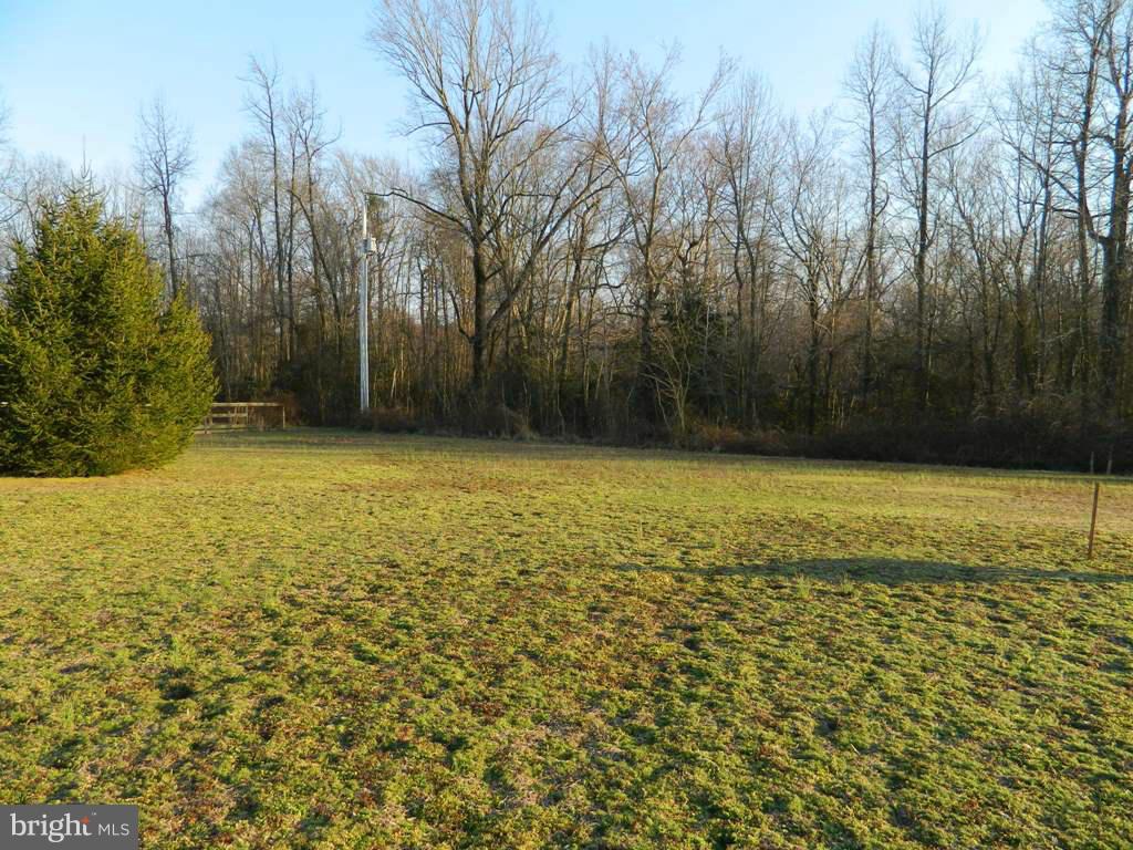 26041 Garey Road Denton, MD 21629 - Photo 23 of 25 Exterior (Rear)