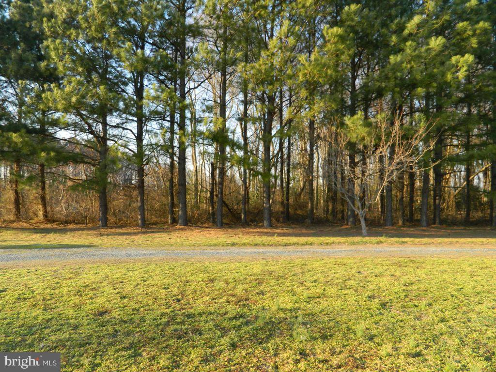 26041 Garey Road Denton, MD 21629 - Photo 24 of 25 View