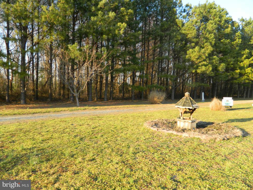 26041 Garey Road Denton, MD 21629 - Photo 25 of 25 View