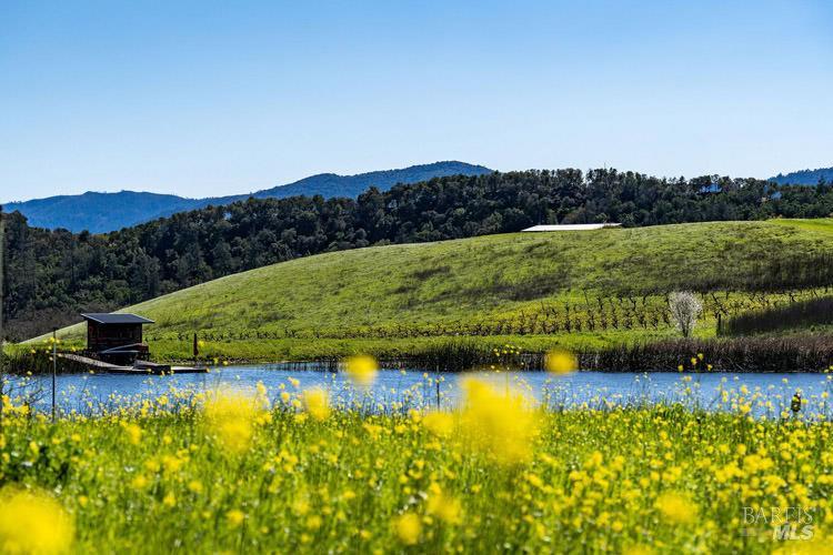 750 Conn Valley Road St. Helena, CA 94574 - Photo 8 of 33