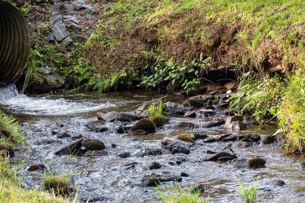 225 Cohutta Ranch Road Blue Ridge, GA 30513 - Photo 2 of 82