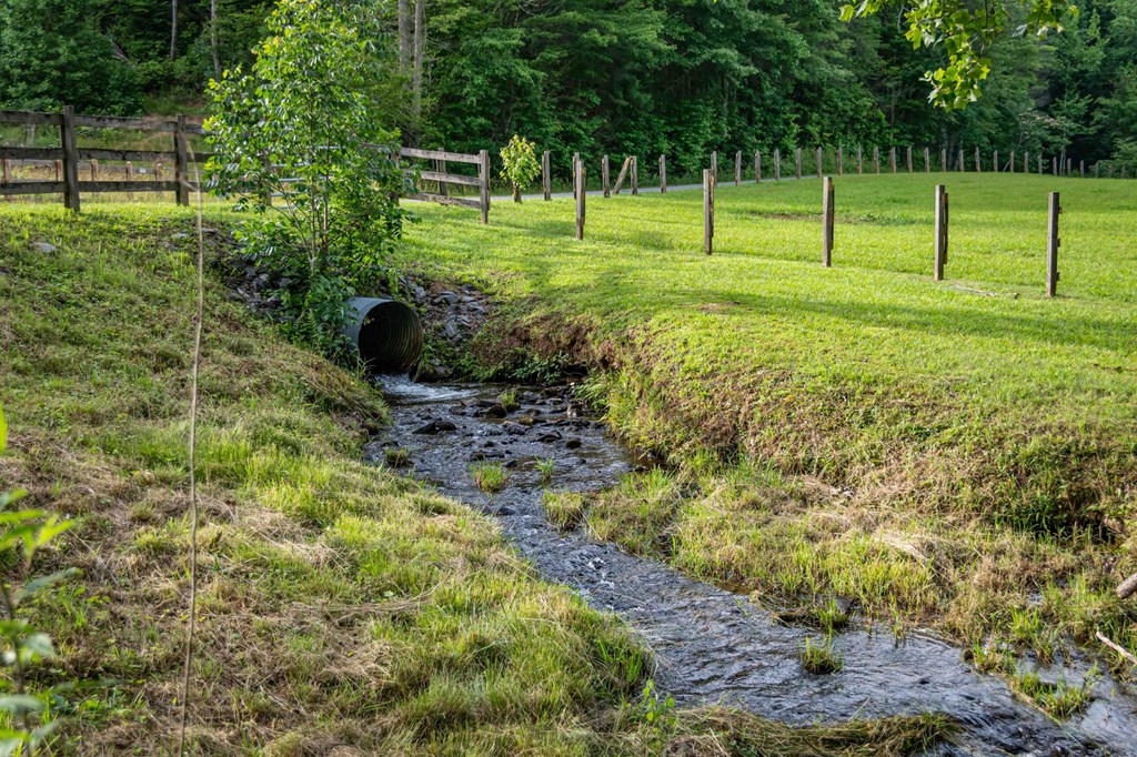 225 Cohutta Ranch Road Blue Ridge, GA 30513 - Photo 3 of 82