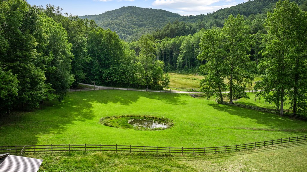 225 Cohutta Ranch Road Blue Ridge, GA 30513 - Photo 32 of 82