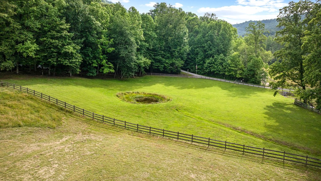 225 Cohutta Ranch Road Blue Ridge, GA 30513 - Photo 34 of 82