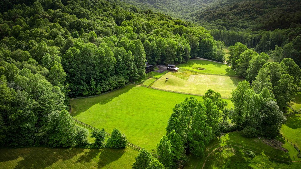 225 Cohutta Ranch Road Blue Ridge, GA 30513 - Photo 38 of 82