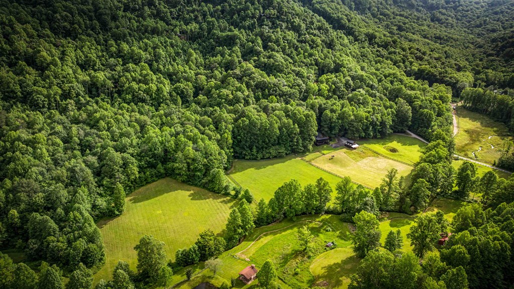 225 Cohutta Ranch Road Blue Ridge, GA 30513 - Photo 39 of 82