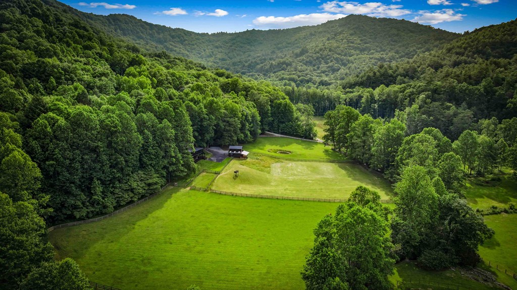 225 Cohutta Ranch Road Blue Ridge, GA 30513 - Photo 41 of 82