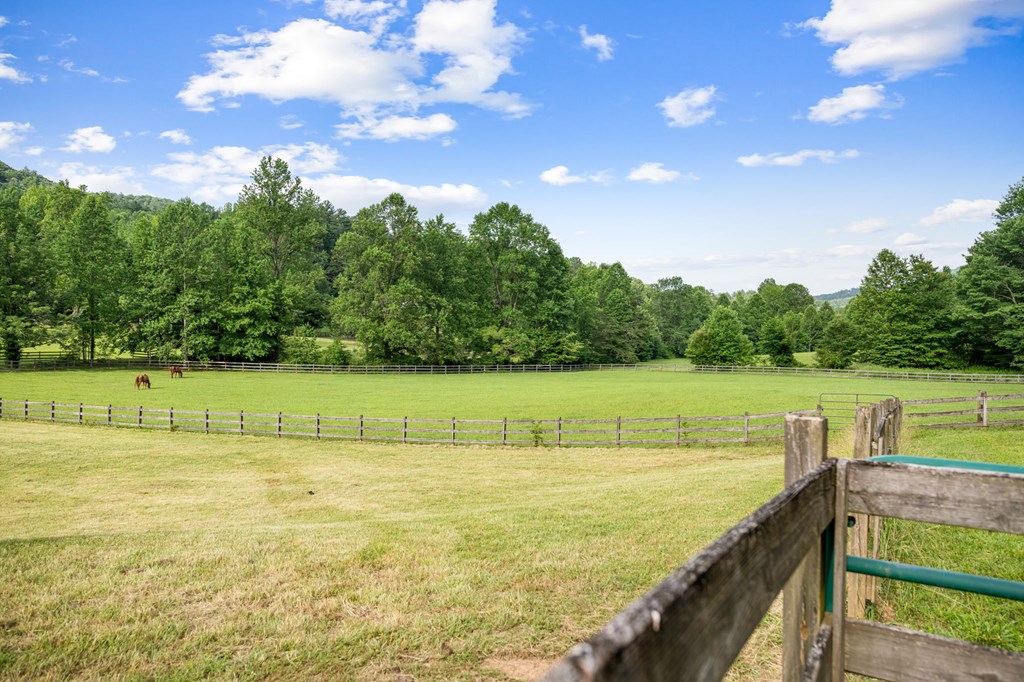 225 Cohutta Ranch Road Blue Ridge, GA 30513 - Photo 44 of 82