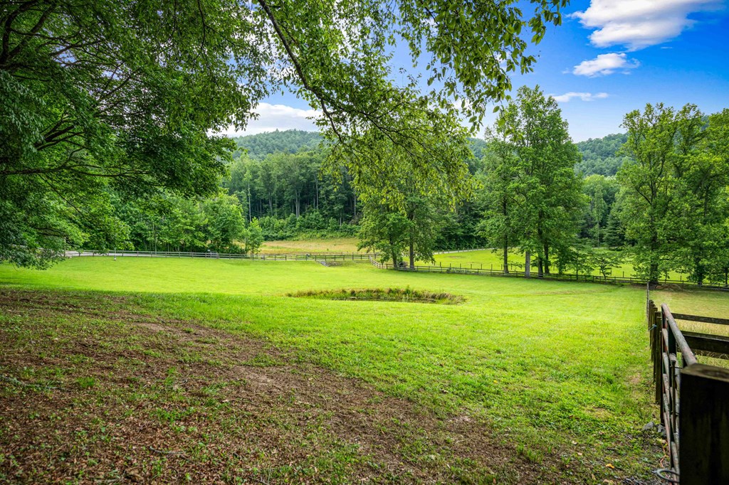 225 Cohutta Ranch Road Blue Ridge, GA 30513 - Photo 46 of 82