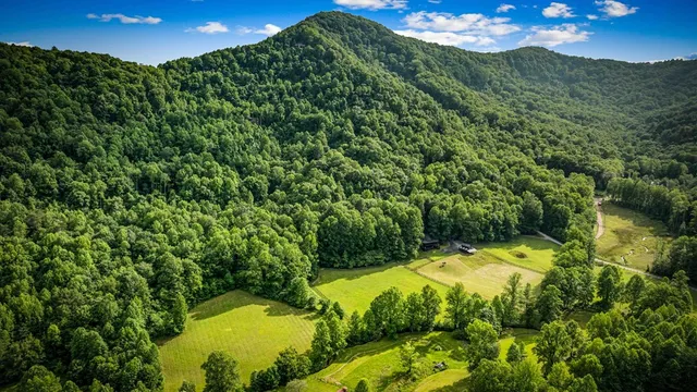 $1,598,000 | 225 Cohutta Ranch Road, Blue Ridge, GA 30513