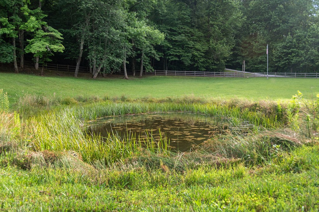 225 Cohutta Ranch Road Blue Ridge, GA 30513 - Photo 79 of 82