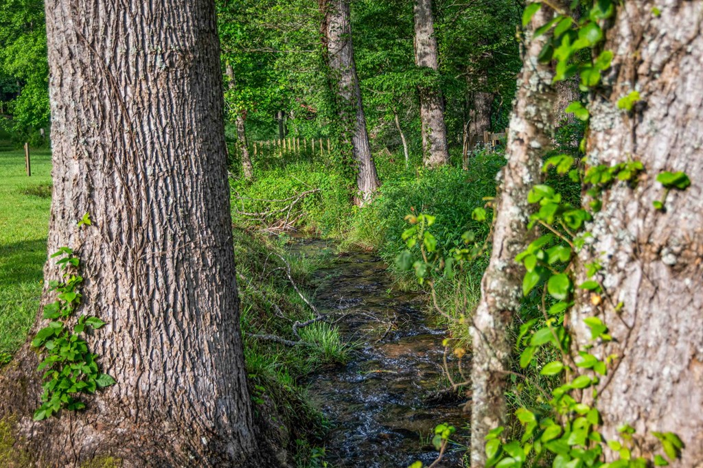 225 Cohutta Ranch Road Blue Ridge, GA 30513 - Photo 80 of 82
