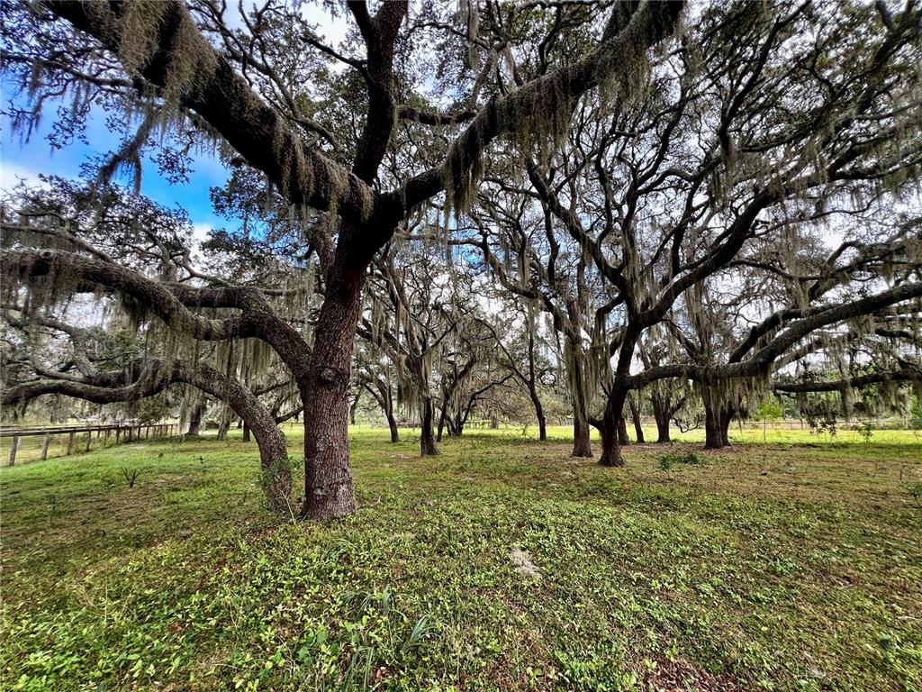 0 Rolling Acres Road Fruitland Park, FL 34731 - Photo 18 of 28