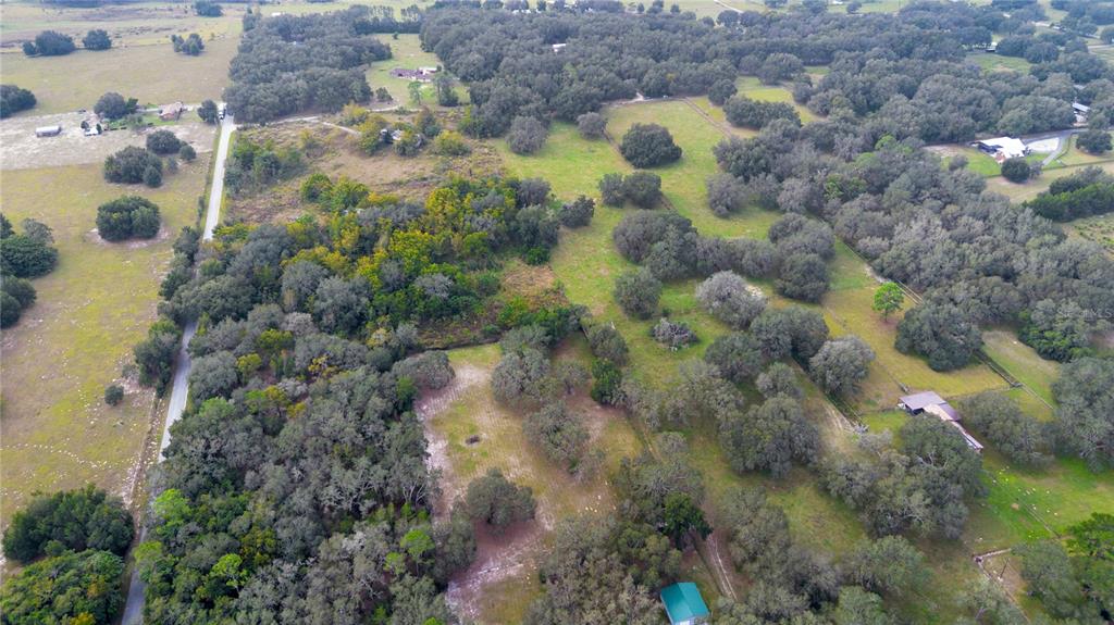 0 Rolling Acres Road Fruitland Park, FL 34731 - Photo 20 of 28 a view of grapes plant
