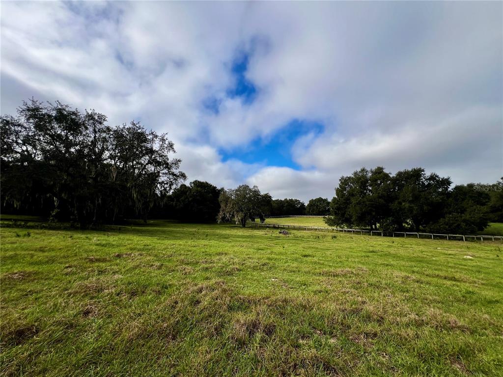0 Rolling Acres Road Fruitland Park, FL 34731 - Photo 22 of 28 a view of a field of grass and trees
