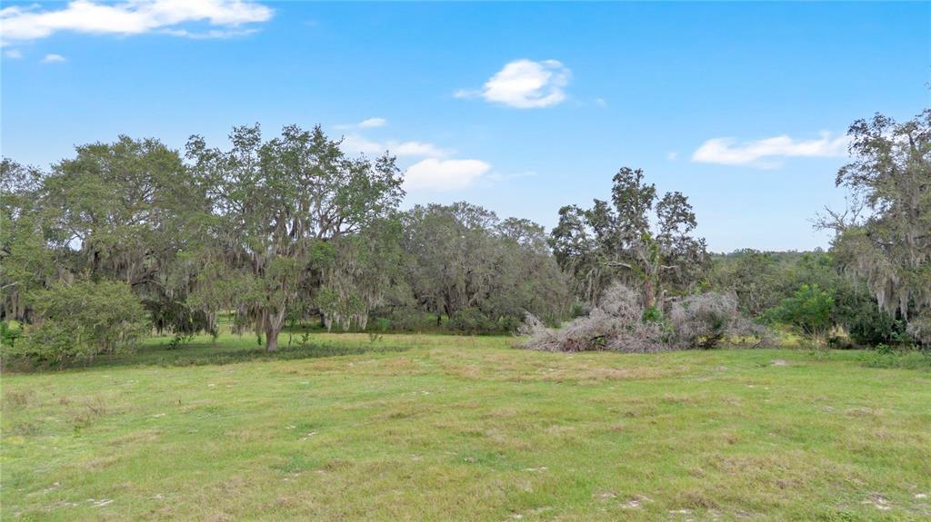 0 Rolling Acres Road Fruitland Park, FL 34731 - Photo 5 of 28 a view of outdoor space with trees all around
