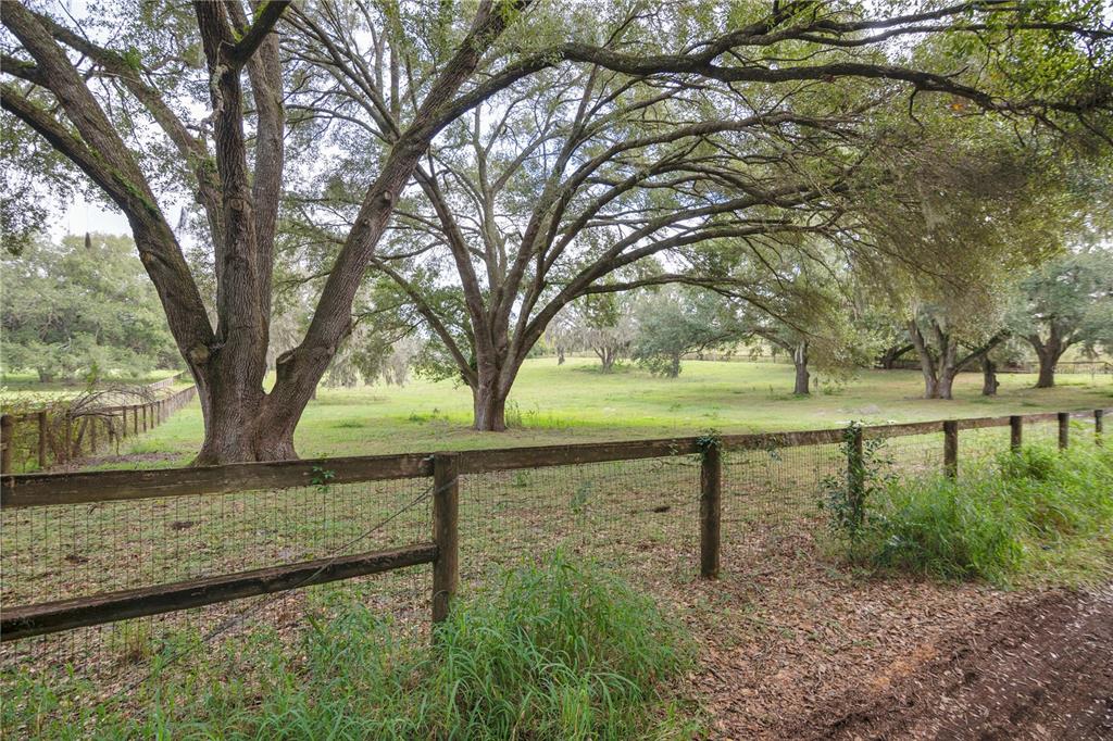0 Rolling Acres Road Fruitland Park, FL 34731 - Photo 6 of 28 a view of backyard with wooden fence and large trees
