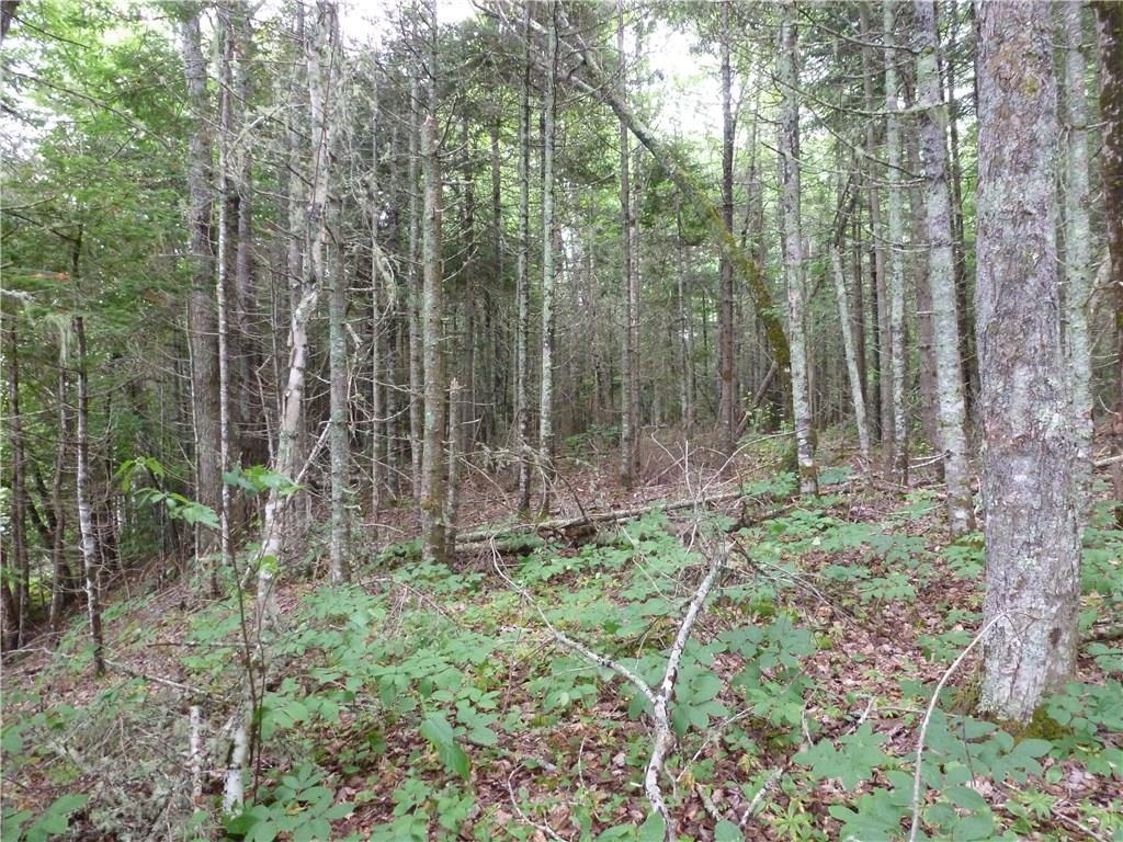 Xx Xx Roys Way- Off S Meadow Road Perry, ME 04667 - Photo 4 of 11 Photo