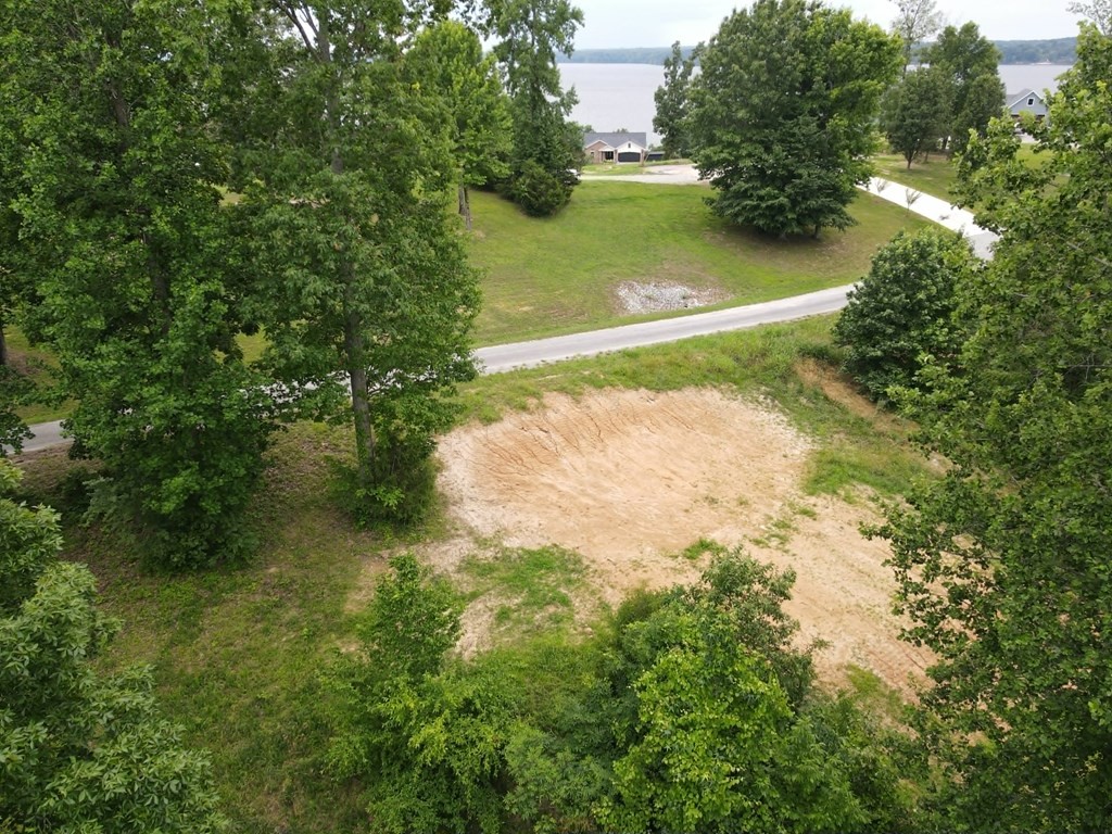 0 Overlook Ridge Big Sandy, TN 38221 - Photo 9 of 11 Gallery Image 9