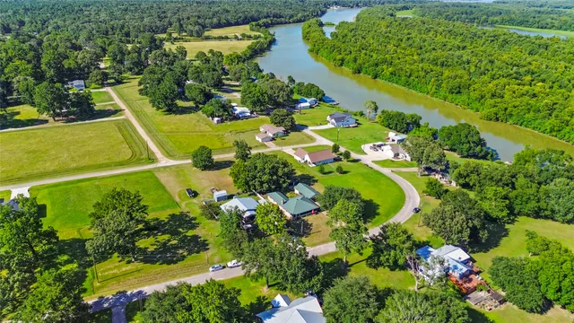 a view of a garden with plants
