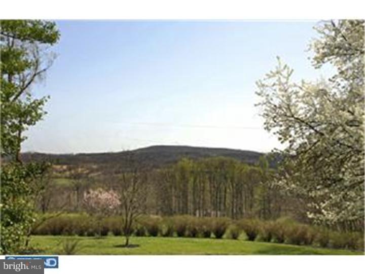 3451 Haupts Bridge Road Riegelsville, PA 18077 - Photo 4 of 23 a view of a mountain