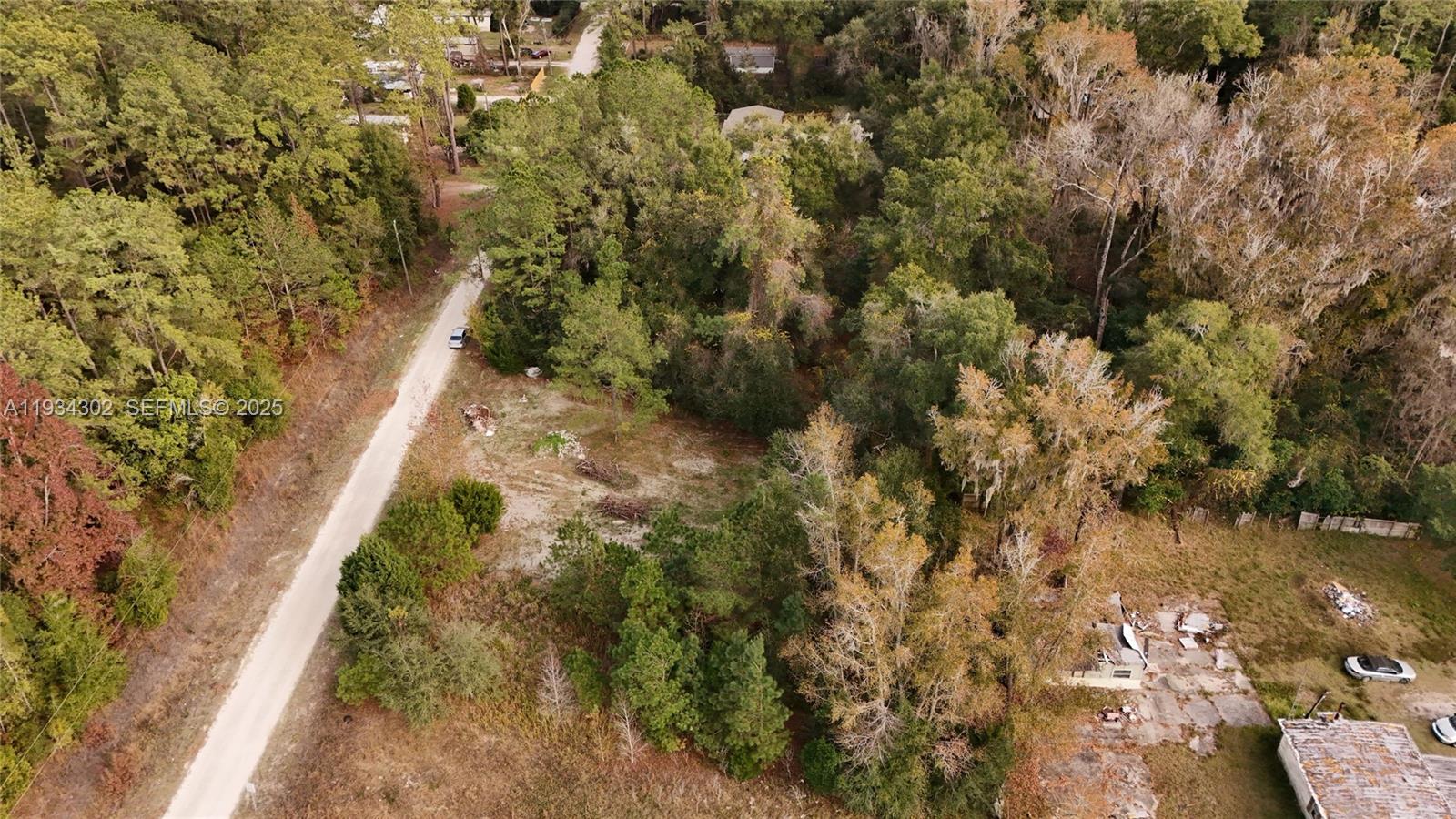 0 Southwest 2nd Court Ocala, FL 34476 - Photo 6 of 21 a view of a yard with plants and large trees