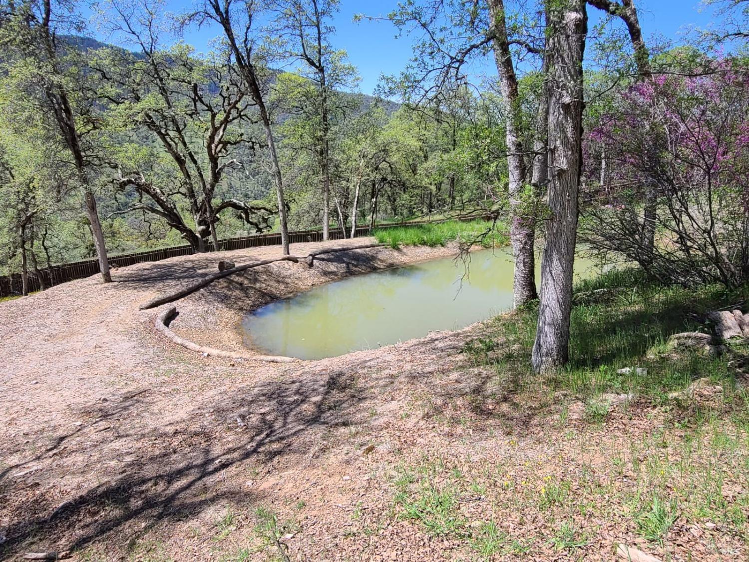 35776 Mendocino Pass Road Covelo, CA 95428 - Photo 13 of 33 a view of a swimming pool with a patio and a yard