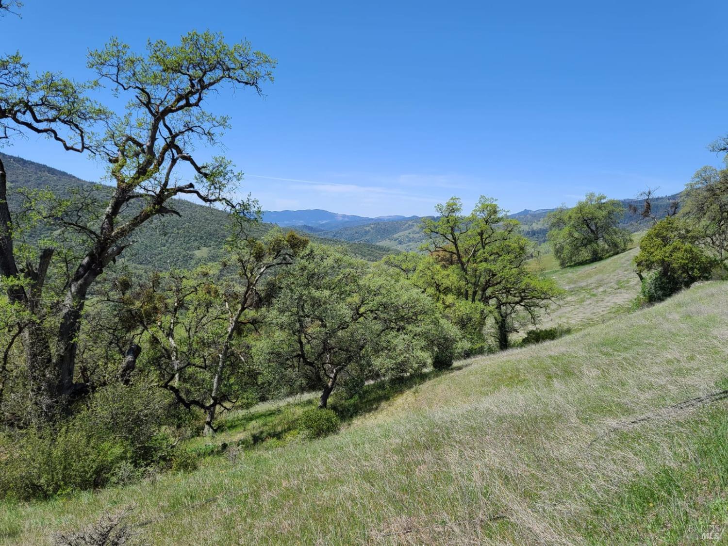 35776 Mendocino Pass Road Covelo, CA 95428 - Photo 3 of 33 a view of a yard with a tree